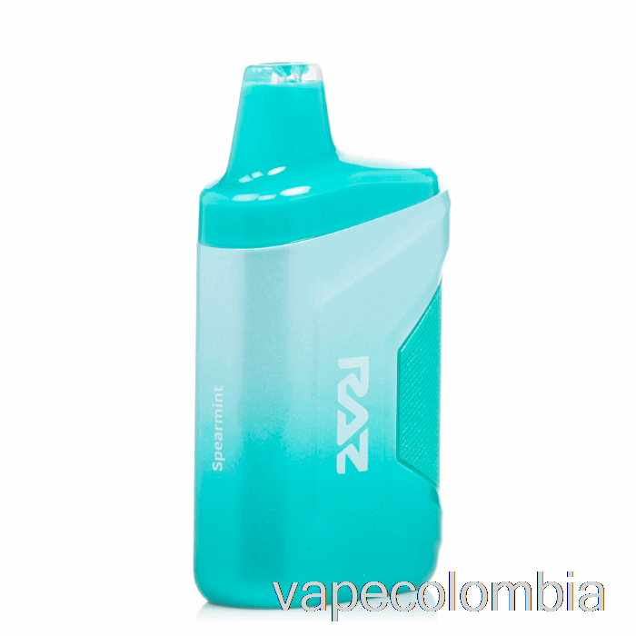 Kit Vape Completo Raz Ca6000 0% Cero Nicotina Desechable Menta Verde